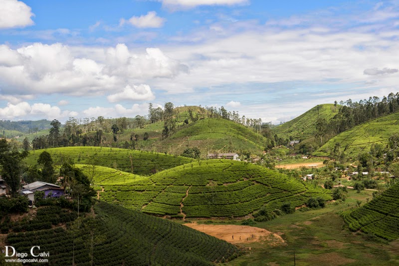 Tren de Kandy a Ella y sus plantaciones de Té - Sri Lanka, la lagrima de la India - Vuelta al Mundo (1)