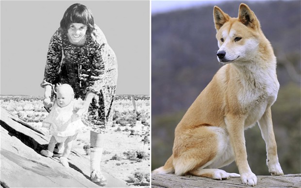 Lexi's Lexis: "A Dingo Ate My Baby" Defense: Verified 32 Years Later