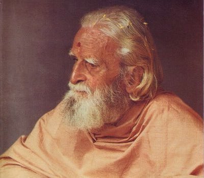 On An Overgrown Path July 2008