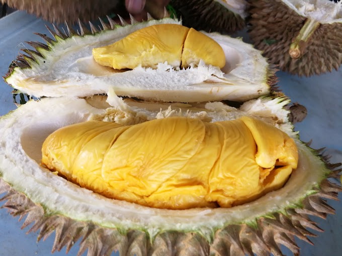 Durian Serendah RM0.66 Sempena 6.6 Super Sale di Shopee