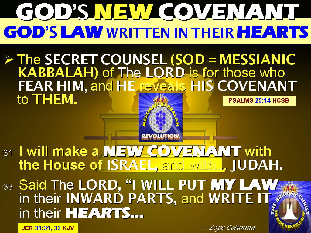 Bible I Will Write My Law On Their Hearts. How Is the Law Written on