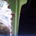 'Αρτα:Είχαν Άγιο ....Τεράστιος βράχος κατέληξε στο σπίτι τους [βίντεο]