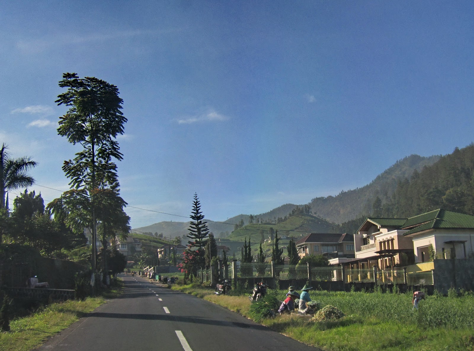Bambang Arnowo Pemandangan Alam Gunung Lawu Contoh Gambar Kecuali