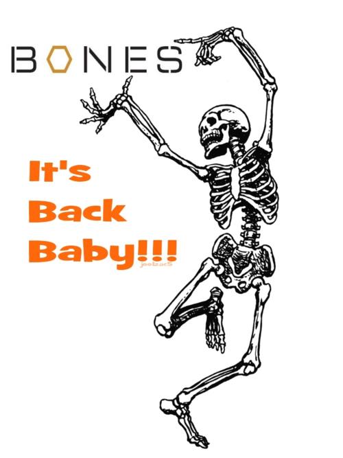 Funny bone. Скелет с надписями. Yolo скелет. Надпись Skeleton.