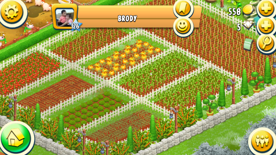 Hay Day Showcase How to arrange your crops in Hay Day