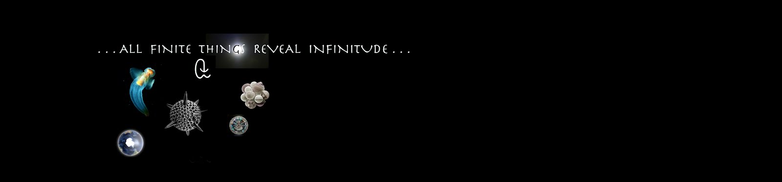 . . . All Finite Things Reveal Infinitude . . . 
