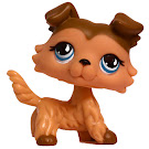 Littlest Pet Shop Singles Collie (#893) Pet