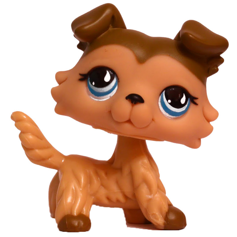 Lps Collie V Generation Pets Lps Merch