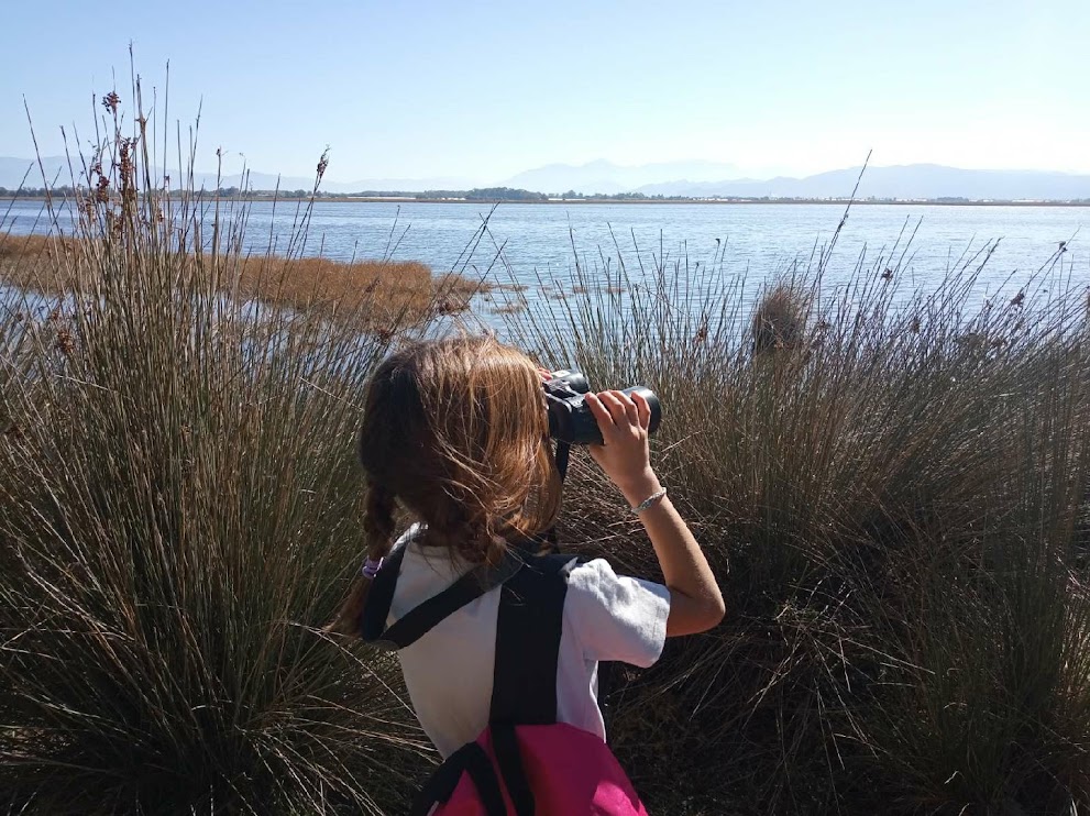 Στο εθνικό πάρκο υγροτόπων λιμνοθάλασσας Κοτυχίου και δάσους Στροφυλιάς