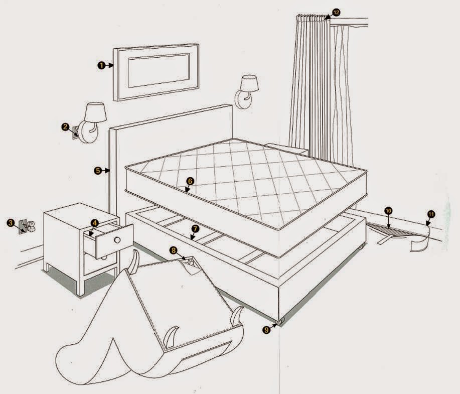 Bexar County Entomology 8 Things to Know about Bed Bugs