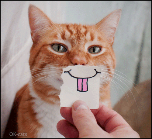 Art Cat GIF • Funny cat sticking his cute pink tongue out Trompe-l'oeil effect Art Cat GIF • Funny cat sticking his cute pink tongue out Trompe-l'oeil effect
