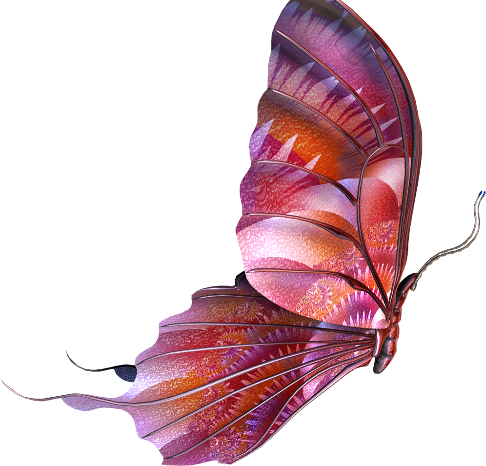 Лепесток крыло бабочки. Бабочка. Красивые бабочки на прозрачном фоне. Бабочки на прозрачной основе. Бабочка рисунок.