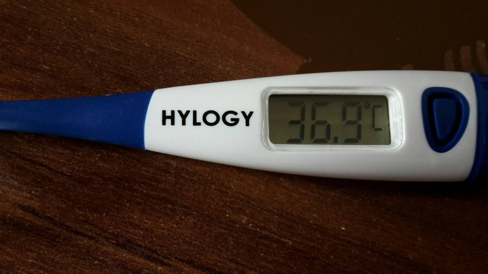 Mona's Blog Hylogy Digitaler Thermometer Baby Thermometer Instant