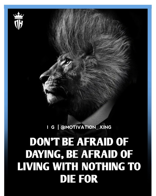 lion king quotes rafiki, lion quotes and images, lion quotes about strength, lion with quotes images lion king quotes rafiki, lion quotes and images, lion quotes about strength, lion with quotes images