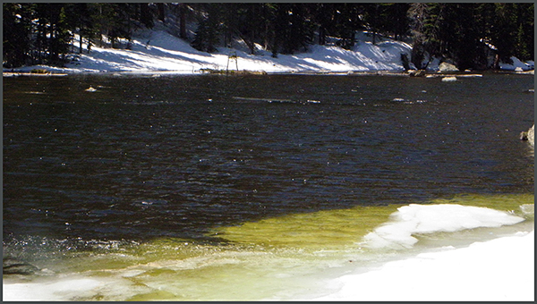 Closeup of greenish water in Dream Lake with snow and ice