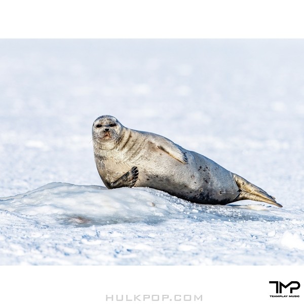 Ryhthm Power – STAYHOME – Single