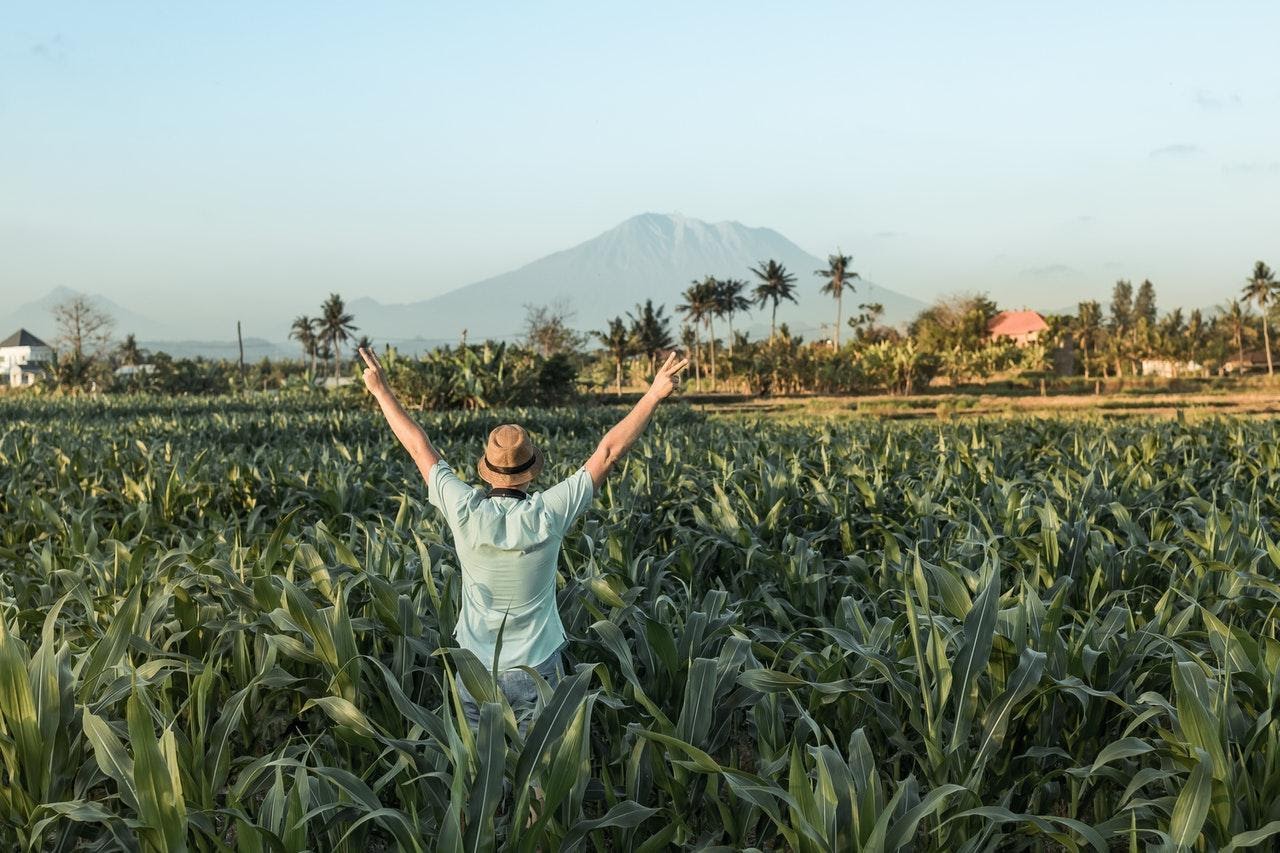 Looking for Affordable Travel Options? Try WWOOFing