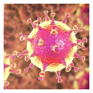 El Coronavirus Puede Sobrevivir hasta 9 días fuera del Cuerpo