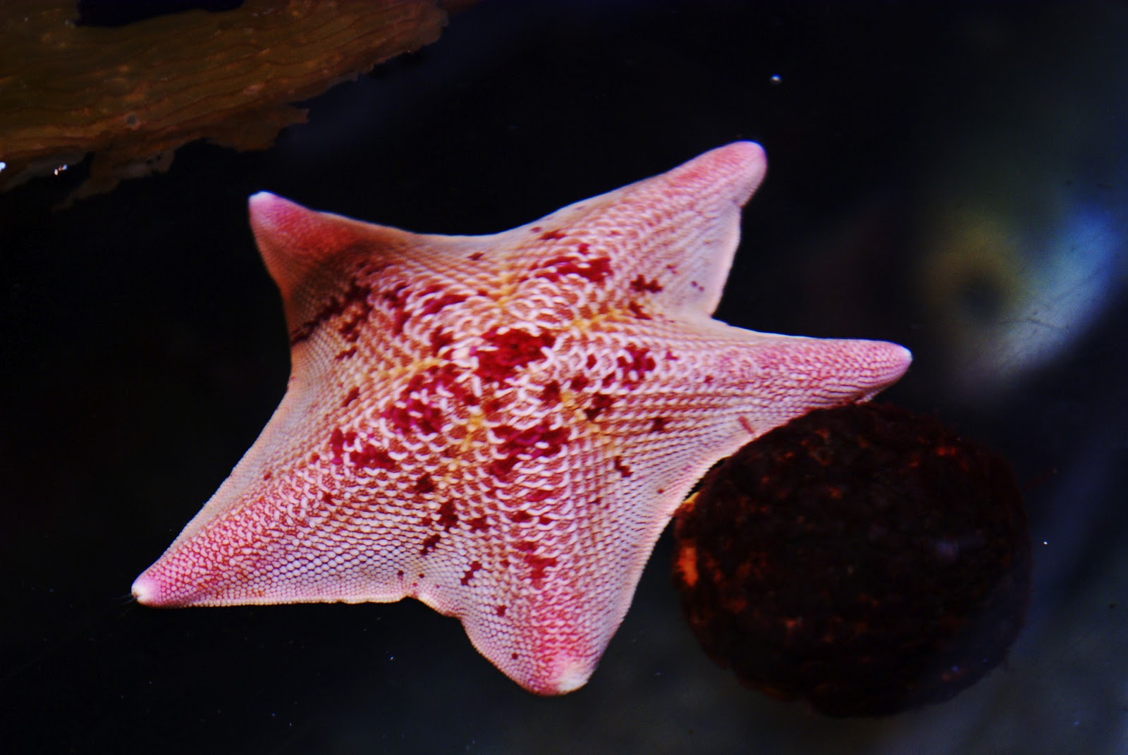 Barbara Rich Photography