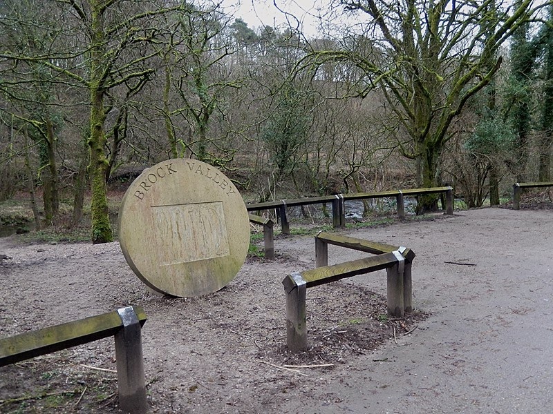 Michael's Walks Calder Vale