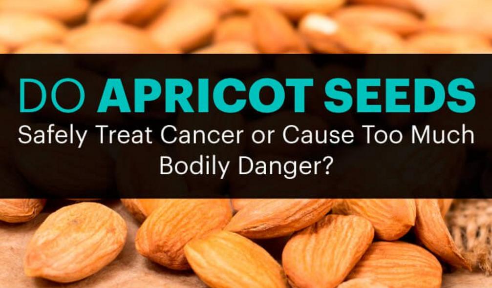 Apricot Seeds And Cancer