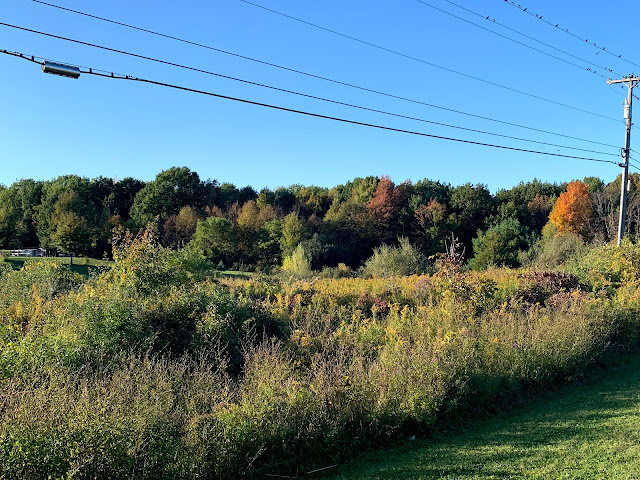 Ruple Farms - Fall foliage 2019