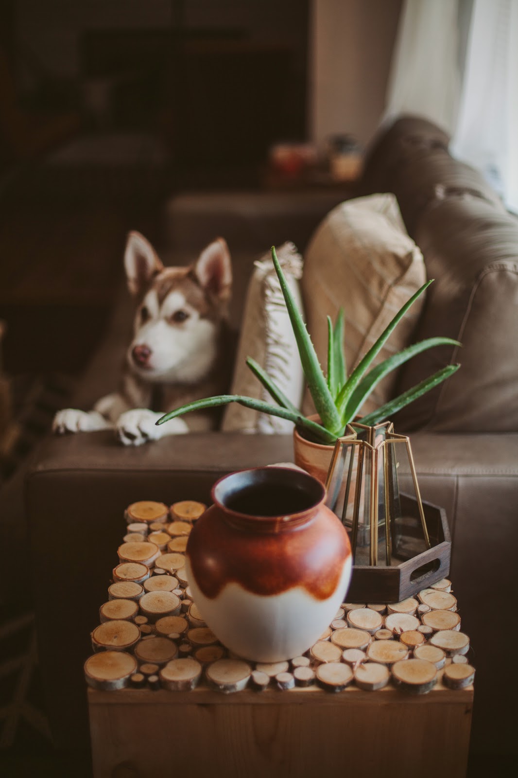 Birch Wood Table DIY — Sincerely, Kinsey