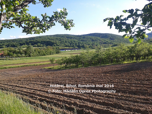 Hotarel, Bihor, Romania mai 2016 ; satul Hotarel comuna Lunca judetul Bihor Romania