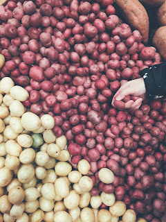 8 best foods to feed your baby
