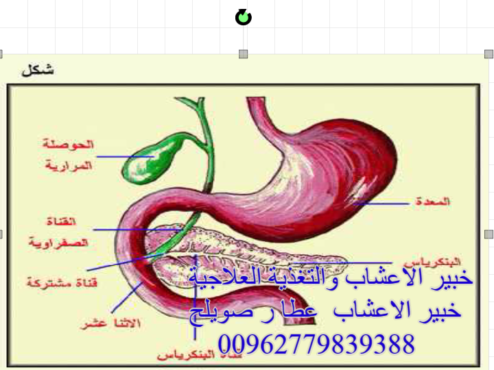 2016 علاج السكري بالاعشاب خبير الاعشاب والتغذية العلاجية