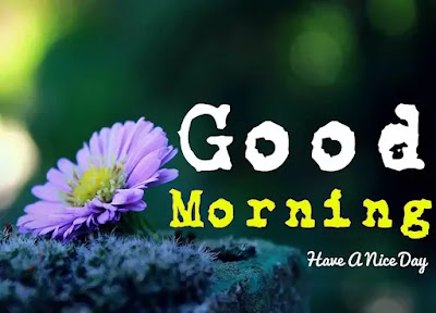 Good Morning Images Good Morning Images