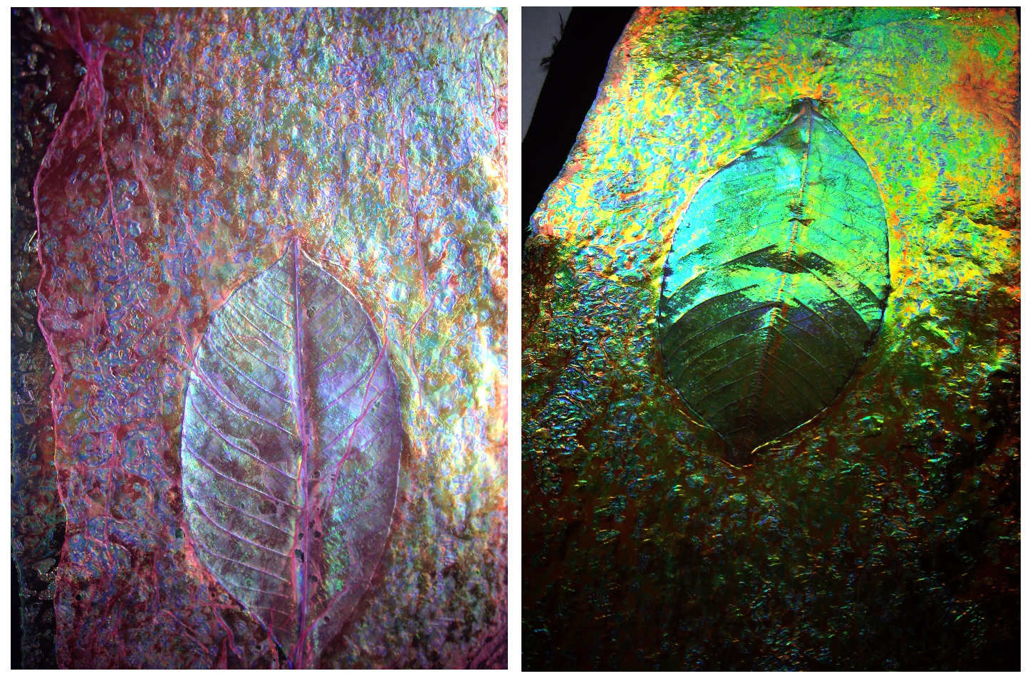 43++ Angelina film large sheets ideas