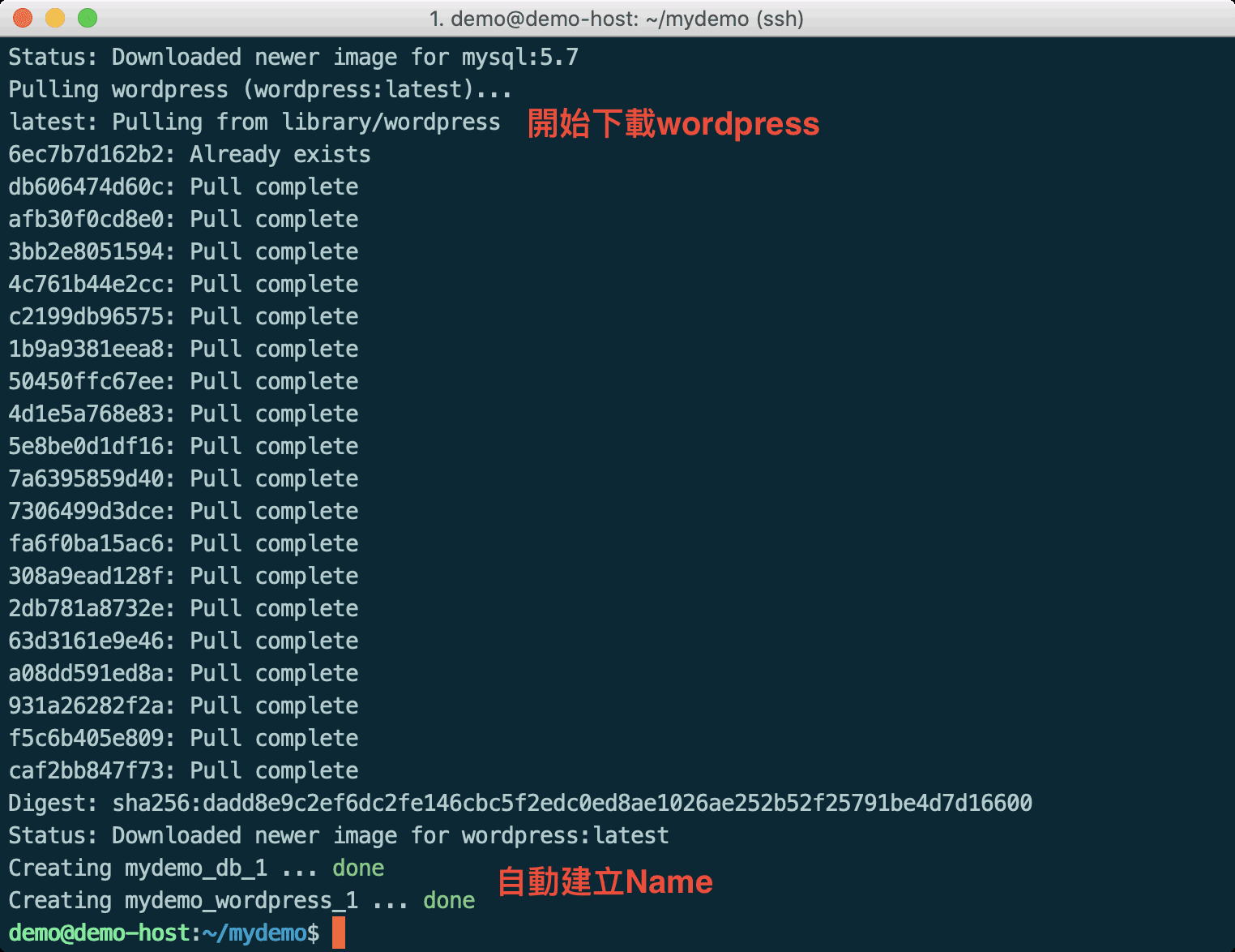 Docker Compose 拉取 WordPress Image