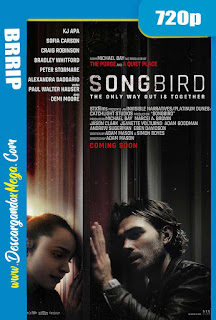 Songbird: Inmune (2020) HD [720p] Latino-Ingles