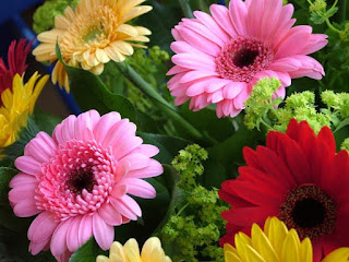 फूलों की जानकारी, फूलों के नाम की सूची, फूलों के बारे में जानकारी, फूलों के नाम चित्र सहित, फूल का उपयोग, फूलों का महत्व, फूल पर निबंध, 10 फूलों के नाम, फूल गुलाब
