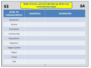 Welcome to Mr.Chapman's Biology Class Blog - Come on in, the learning