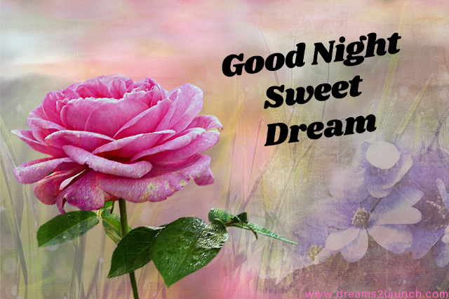 lovely good night images lovely good night images