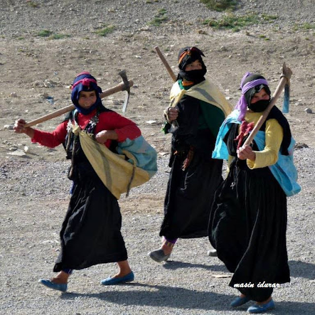 labour amazigh ladies working morocco 