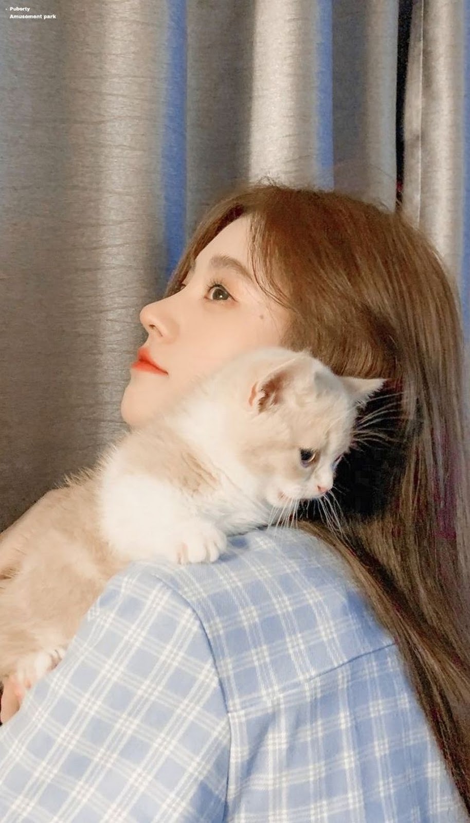 Beauty Gallery - Collection of Asian beauties - TruePic.net