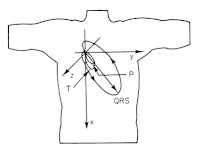 A figure from Intermediate Physics for Medicine and Biology showing the behavior of the electrocardiogram.