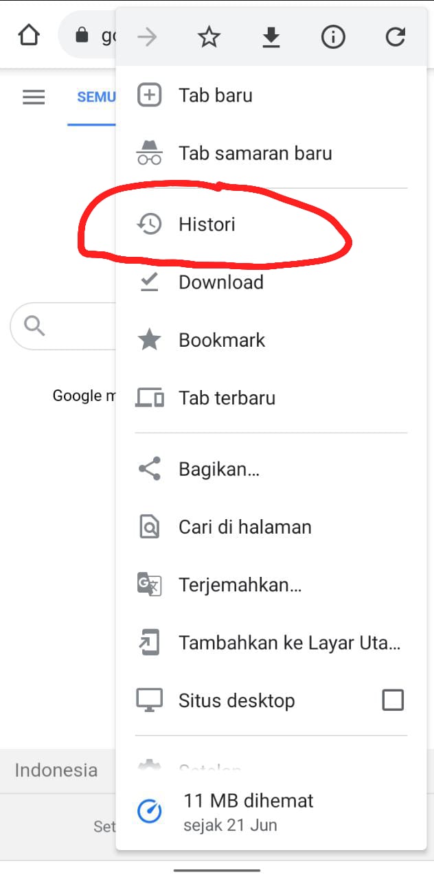 Cara Melihat History Google Chrome di Android dan Laptop