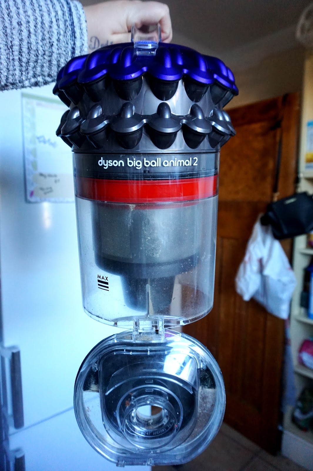 Dyson Big Ball Animal 2 Vacuum Cleaner Review Beth Owen