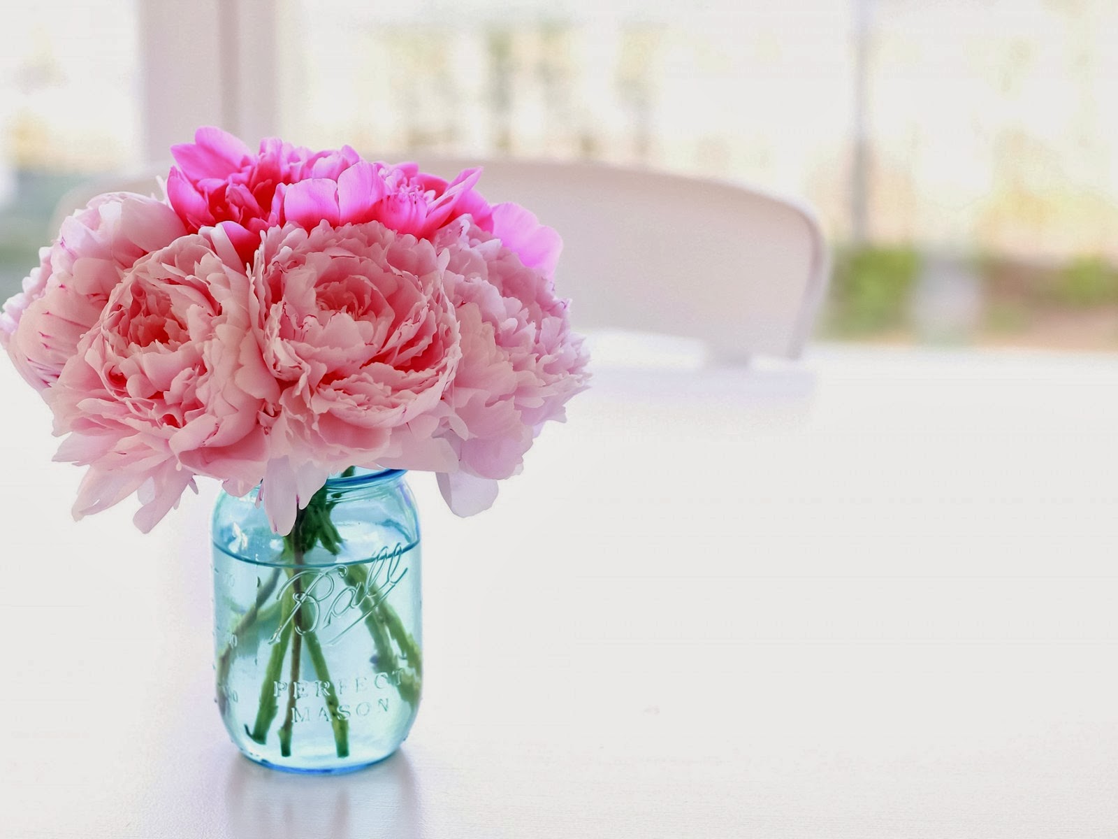 خلفيات ورود جميلة 2020 بجوده عاليه صور ورد طبيعي خلفيات ورود جميلة 2020 بجوده عاليه صور ورد طبيعي