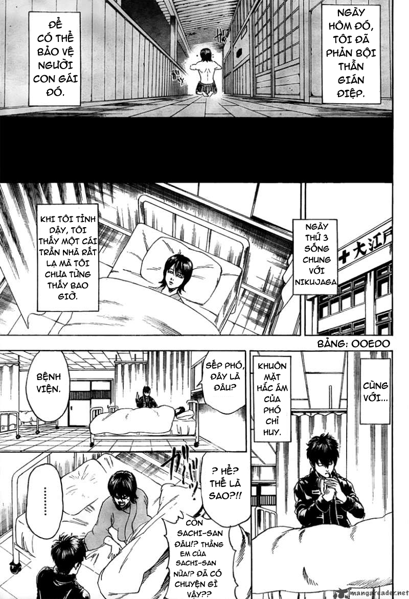 Gintama chapter 293 trang 16