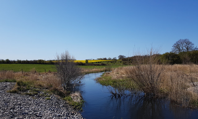 Küsten-Spaziergänge rund um Kiel, Teil 7: Herbst-Spaziergang am Nord-Ostsee-Kanal bei Suchsdorf. Viele weitere Spaziergänge und Ausflugsziele in Kiels Umgebung findet Ihr hier auf Küstenkidsunterwegs!