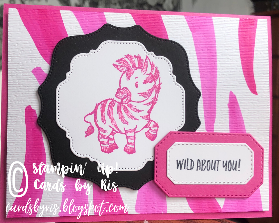 The One with the Zany Zebra