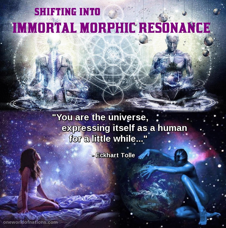 Past, Present and Future Trilogy | Part #2 - Changing the Game Plan Spiritual, Tolles, Quote, Immortal, Consciousness,