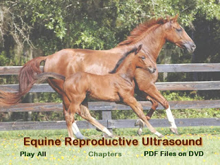 Equine Reproductive Ultrasound [PDF Files + Videos]