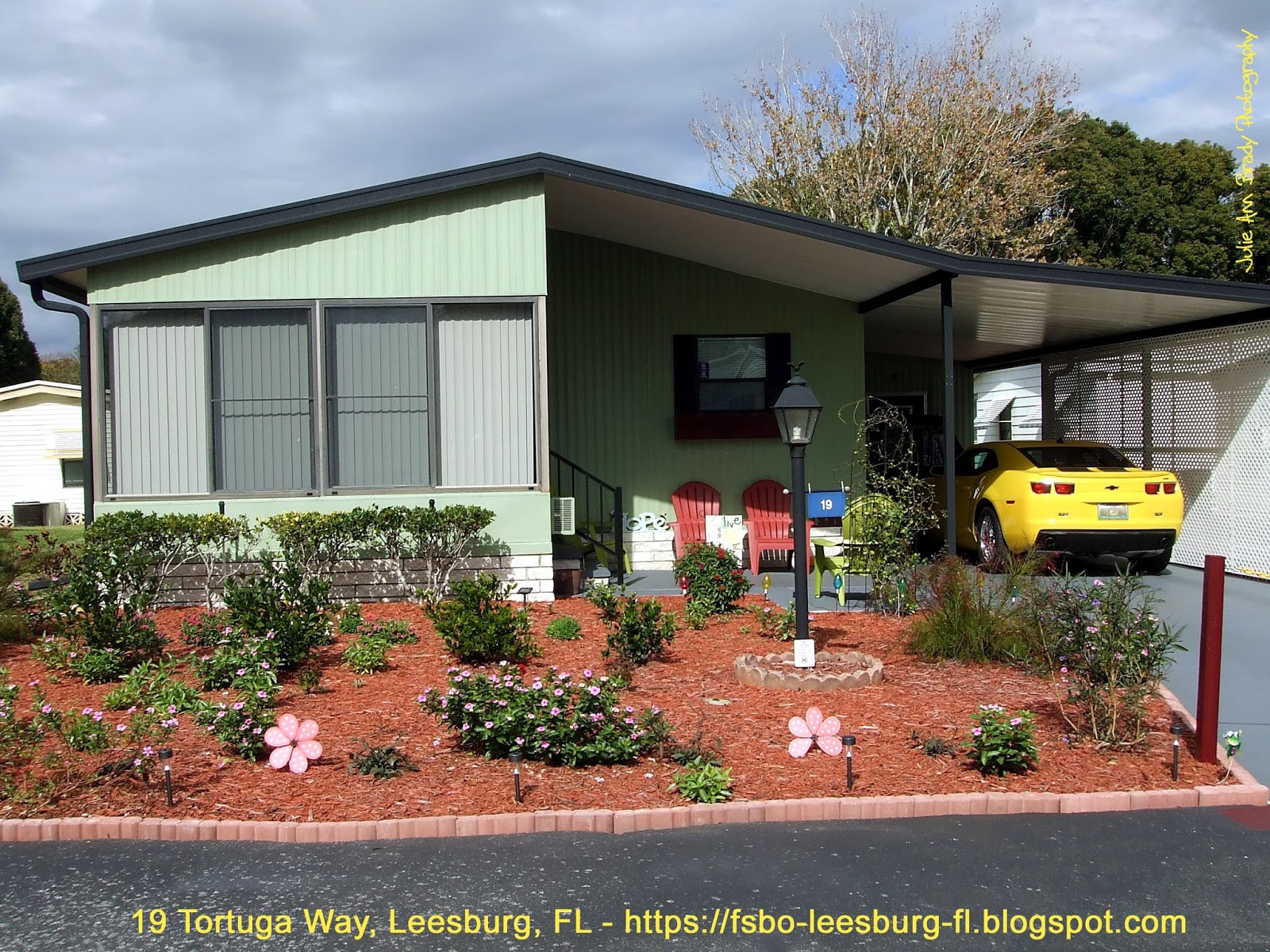 Imperial Services Best Foundation Plants For Stellar Curb Appeal