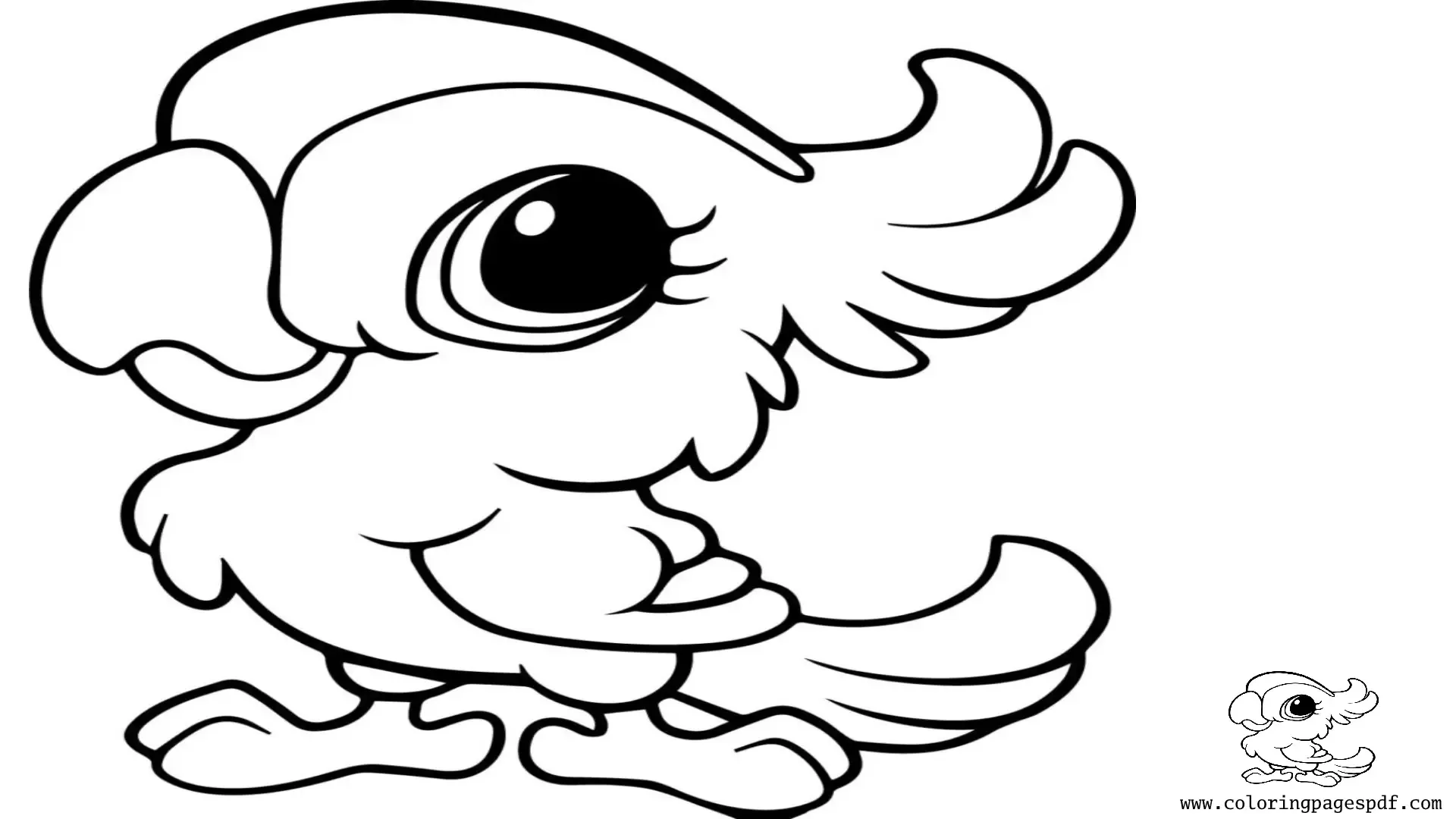 Coloring Page Of A Baby Parrot